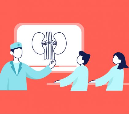 A doctor explaining the anatomy of kidneys using a medical animation
