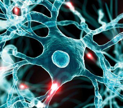 Examine budget and resources