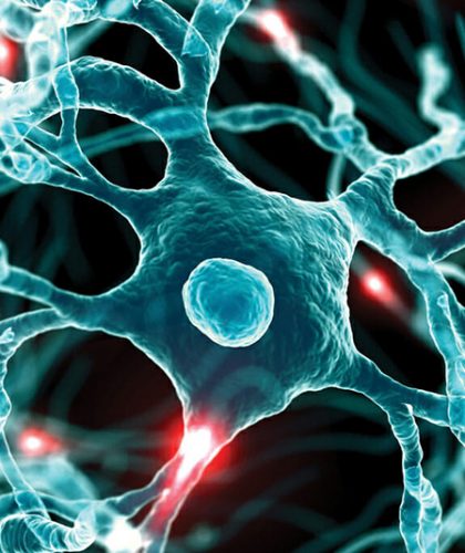 Examine budget and resources